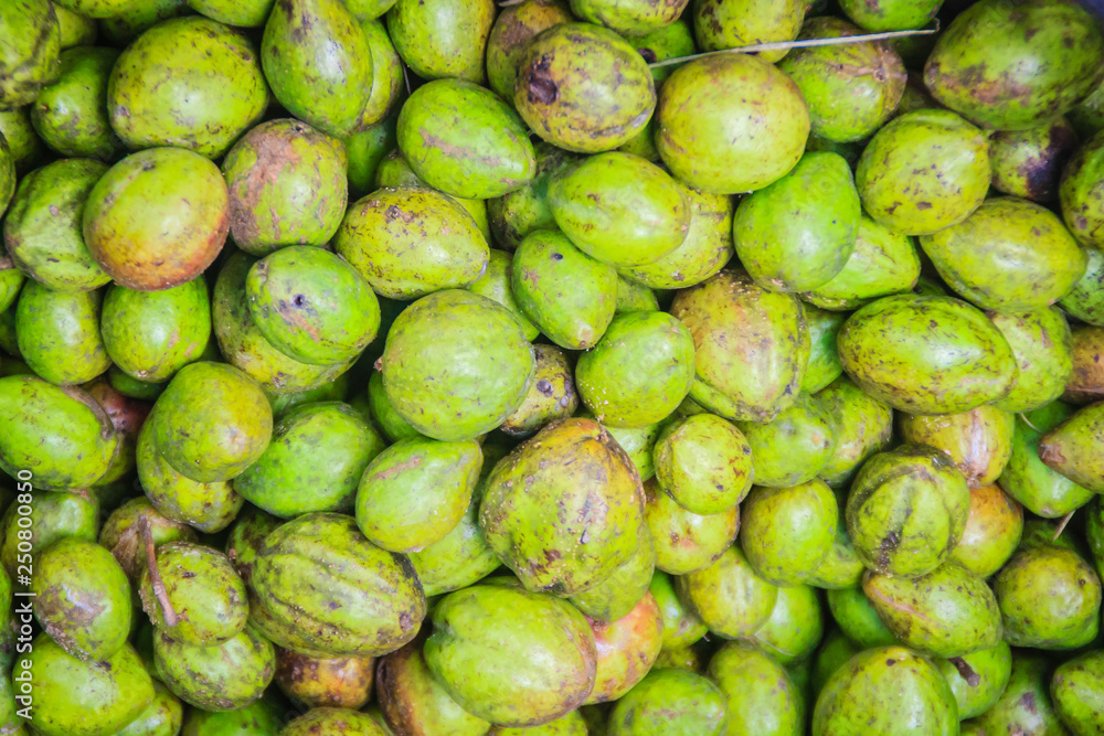 Green Chebulic Myrobalans fruits (Terminalia chebula) for sale at the local market. Terminalia chebula is herbal fruit and found throughout South East Asia. Green Chebulic Myrobalans fruits (Terminalia chebula) for sale at the local market. Terminalia chebula is herbal fruit and found throughout South East Asia.