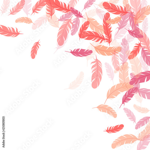 Flying feather elements airy vector design.