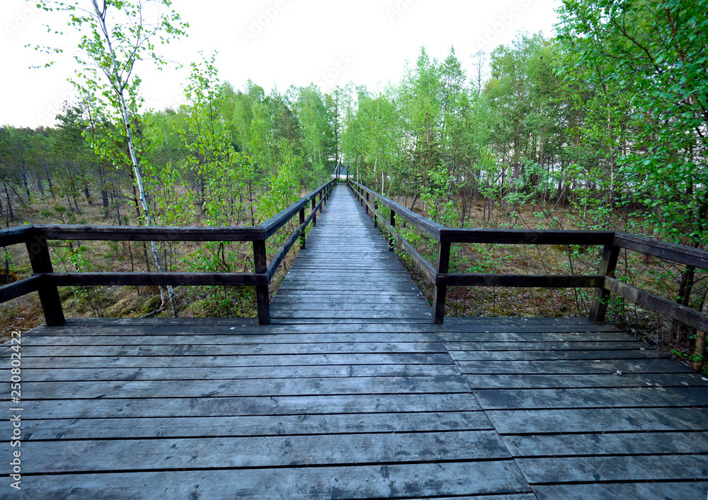 Biebrzański Park Narodowy - ścieżki edulacyjne