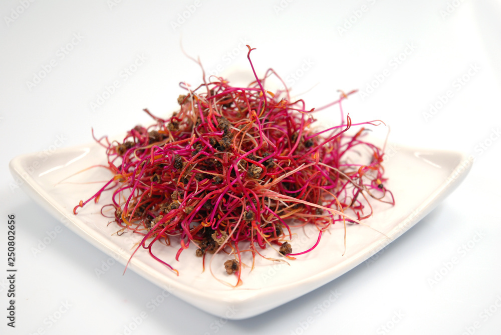 Fototapeta premium Graines à germer, pousses, sur fond blanc