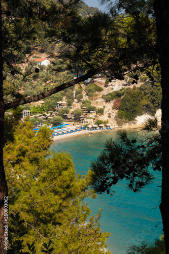 lemonakia beach throw trees