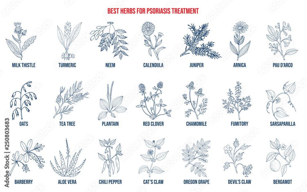 Best natural herbs for psoriasis treatment Best natural herbs for psoriasis treatment