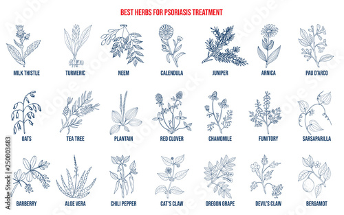 Best natural herbs for psoriasis treatment
