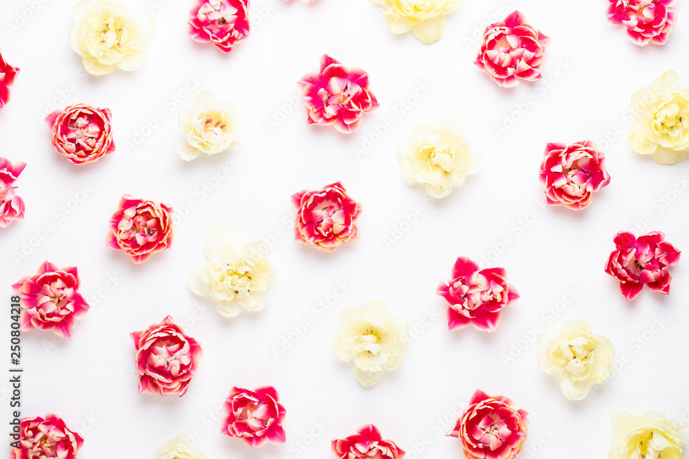 Spring flowers tulips on pastel colors background. Retro vintage style. Spring flowers tulips on pastel colors background. Retro vintage style.