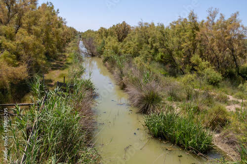 Camargue in France