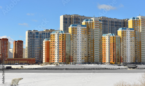 Moscow river bank. Winter view. Russia photo