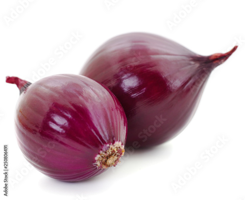 Purple onion isolated.