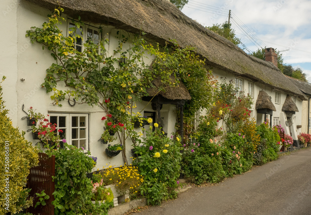 Rural Village - Devon, UK