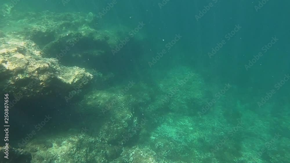 Underwater Rocks Underwater Rocks