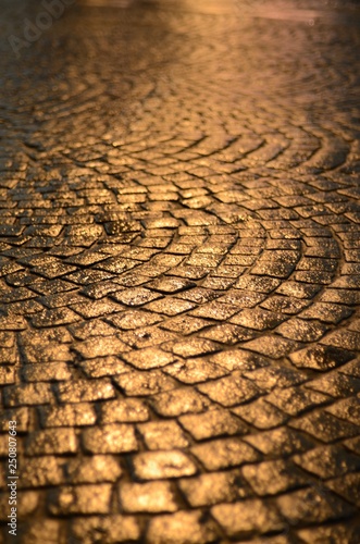 Wet pavement of St. Petersburg resembles a yellow brick road