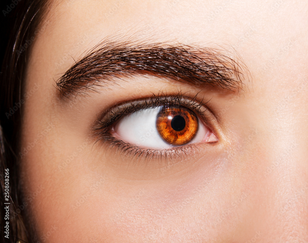 Obraz premium A beautiful insightful look girl's eye. Close up shot.