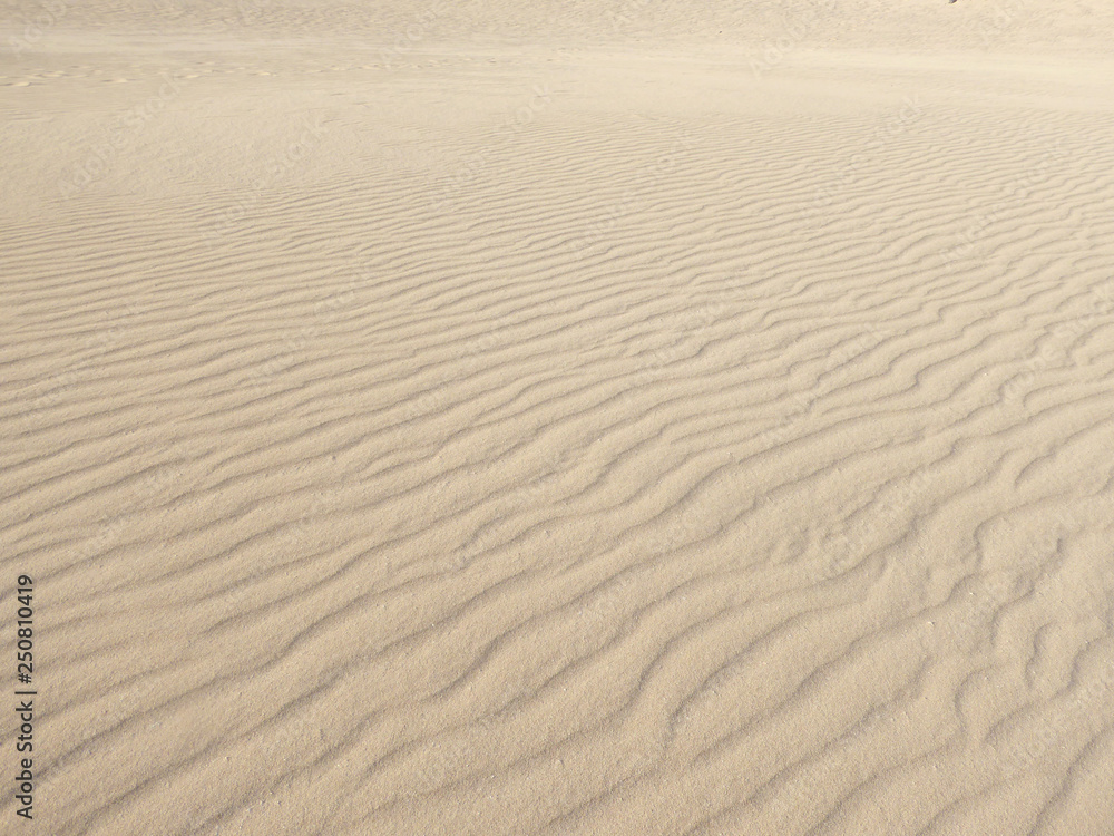 Paysage de désert aux Iles Canaries à Fuerteventura avec des dunes de sable Paysage de désert aux Iles Canaries à Fuerteventura avec des dunes de sable