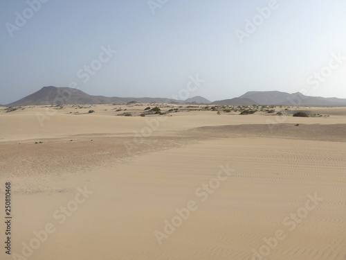 Paysage de d  sert aux Iles Canaries    Fuerteventura avec des dunes de sable