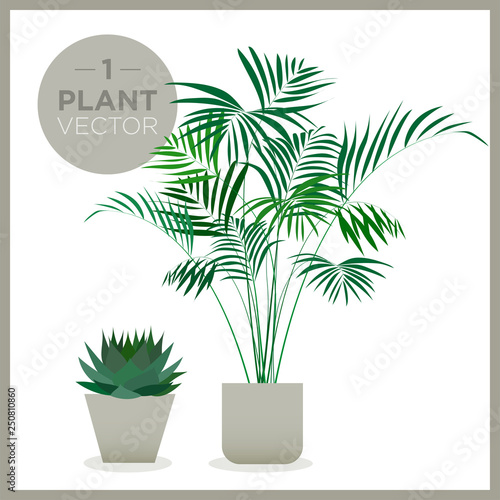 set of vector green plants illustrations