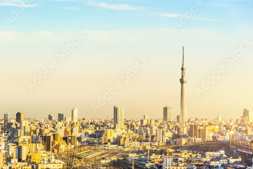 city skyline aerial view in Tokyo, Japan