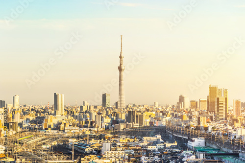 city skyline aerial view in Tokyo, Japan © voyata