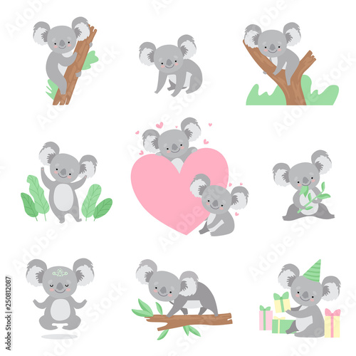 Collection of Cute Coala Bear Animals Cartoon Characters in Different Situations Vector Illustration
