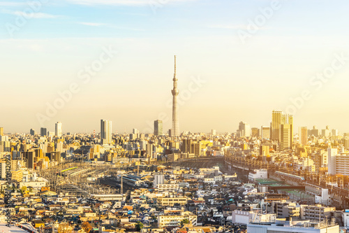 city skyline aerial view in Tokyo, Japan © voyata