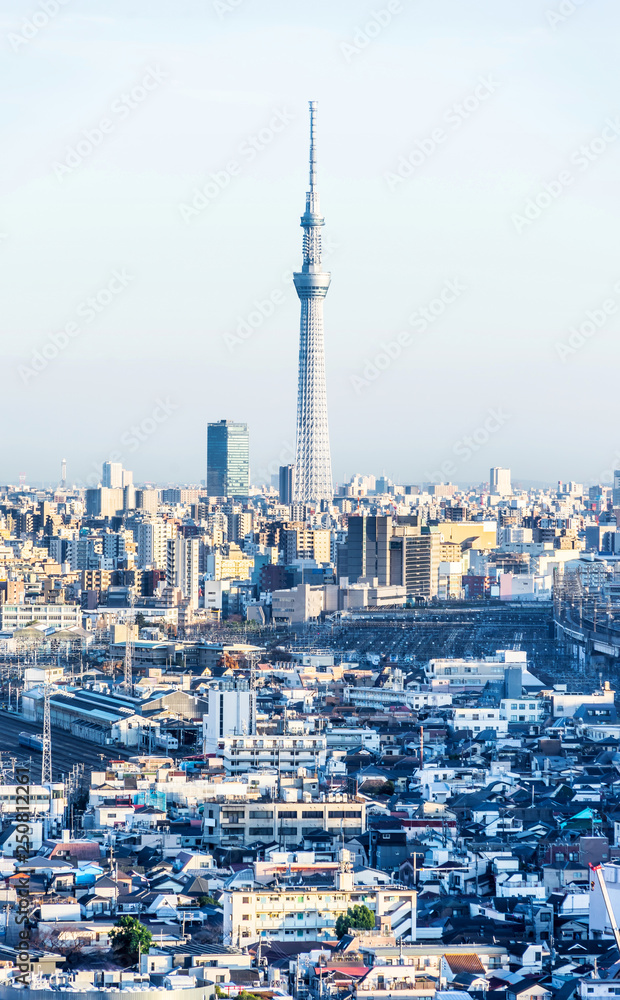 Fototapeta premium city skyline aerial view in Tokyo, Japan