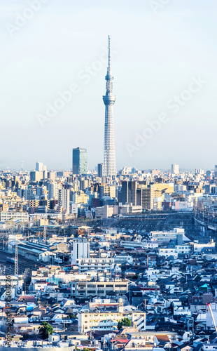 city skyline aerial view in Tokyo, Japan