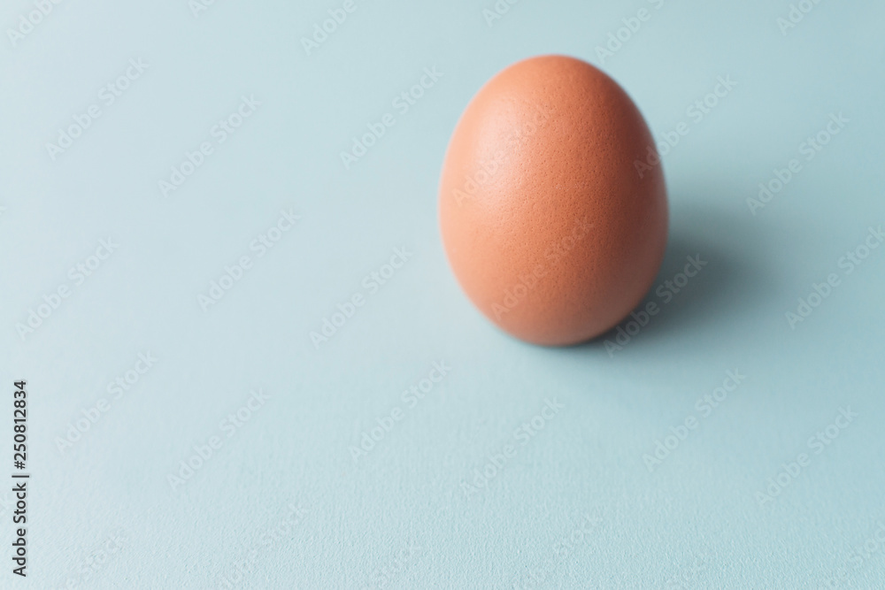 A single brown egg on a blue background. Design, visual art, minimalism A single brown egg on a blue background. Design, visual art, minimalism