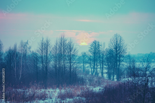 Winter rural landscape at sunset. Winter snowy scenery. The field covered with snow at sunset © vvvita