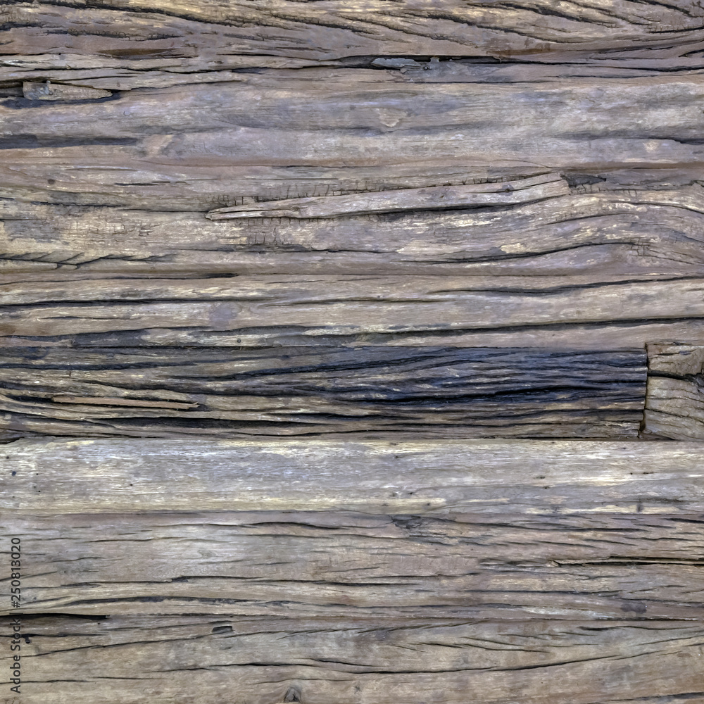 Exotic wood texture. Abstract background Exotic wood texture. Abstract background
