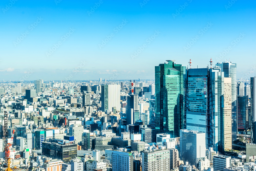 panoramic city skyline aerial view in Tokyo, Japan panoramic city skyline aerial view in Tokyo, Japan