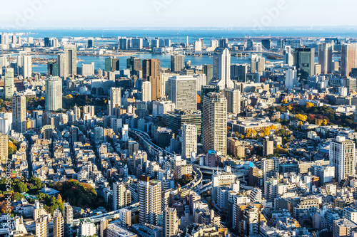 panoramic city skyline aerial view in Tokyo, Japan