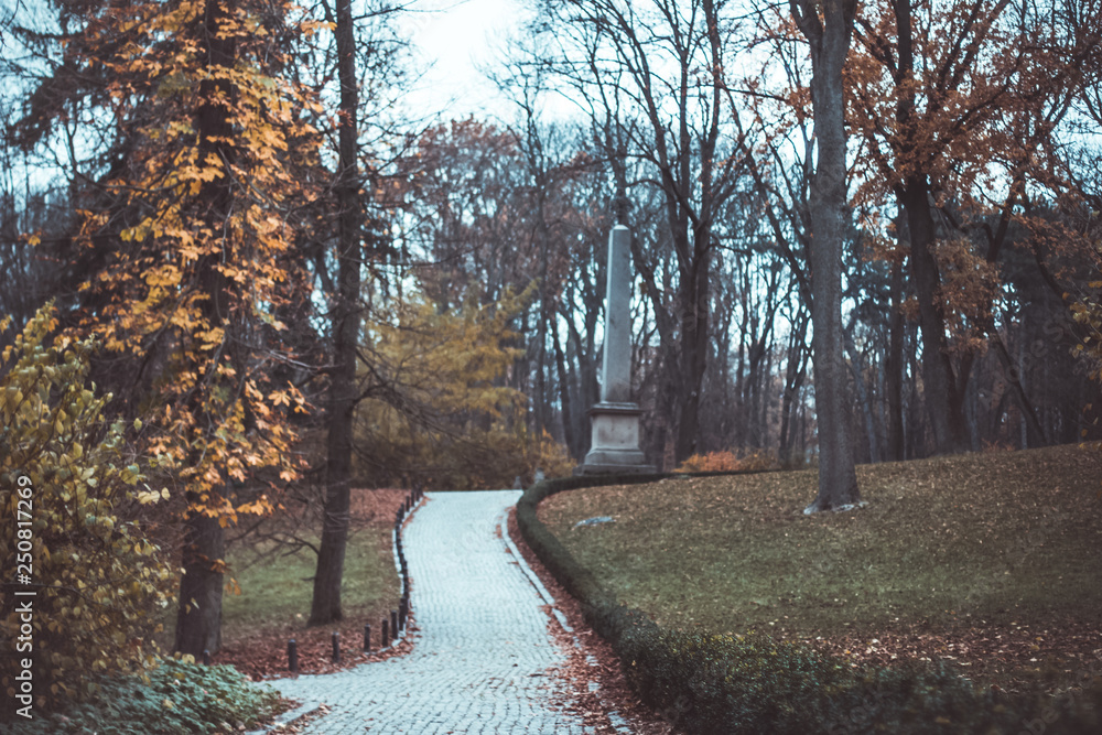 Obraz premium The steps in national park Sofiivka, Uman, Ukraine. Autumn forest.