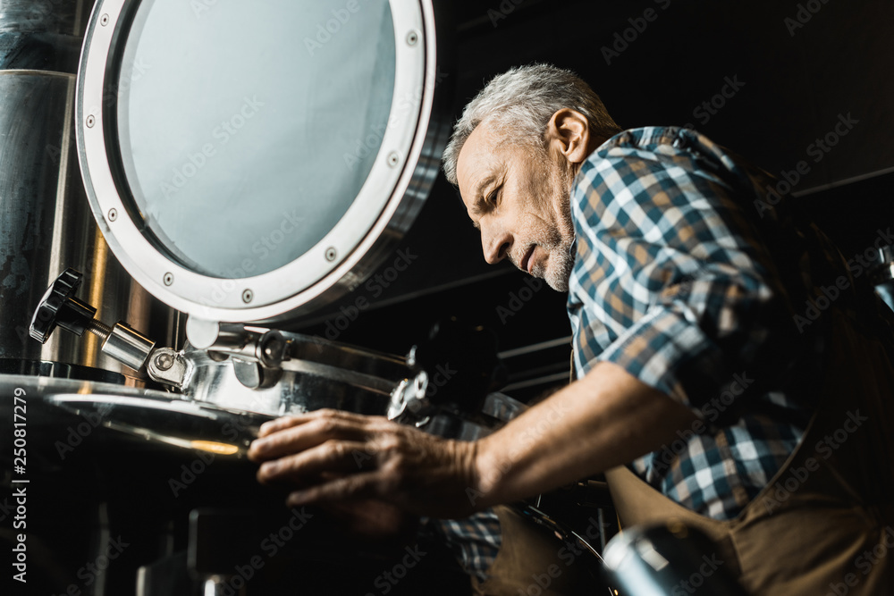 Fototapeta premium male brewer with grey hair in working overalls checking brewery equipment