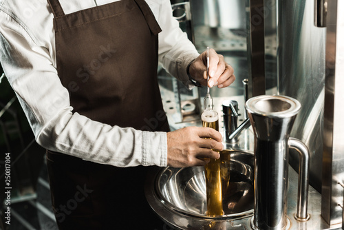 cropped view of professional brewer examining beer in flask in brewery