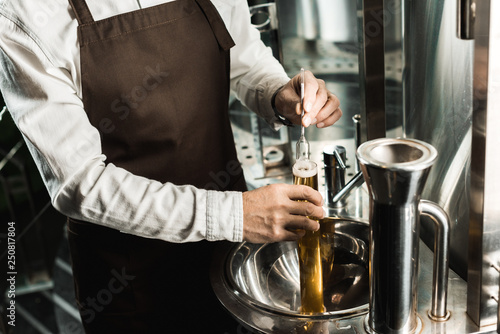Obraz na płótnie cropped view of professional brewer examining beer in flask in brewery