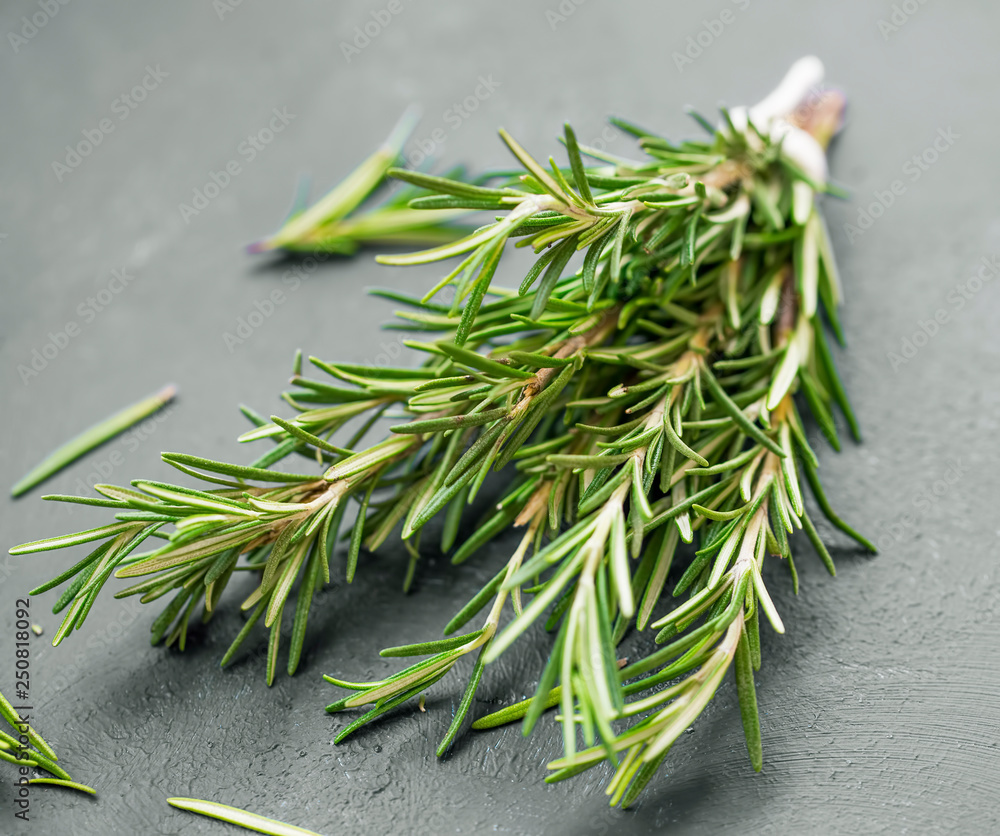 Fresh bunch of rosemary herb closeup, tasty aromatic herb kitchen condiment and ingredient Fresh bunch of rosemary herb closeup, tasty aromatic herb kitchen condiment and ingredient