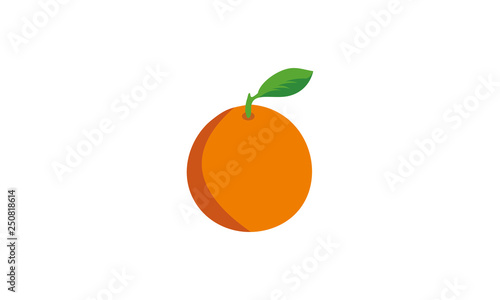 orange fruit logo design