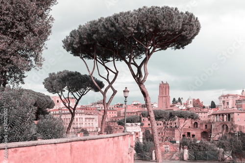 Rome, Italy  - city slyline with pine trees silhouettes. photo