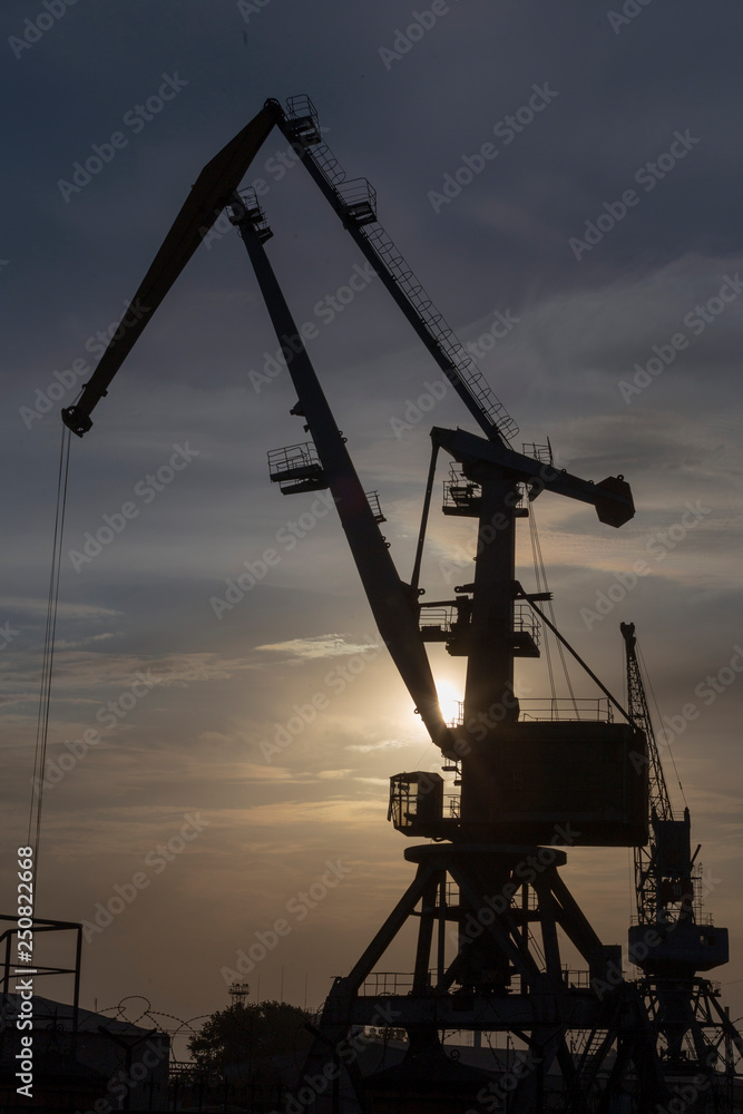 silhouette of port cranes at sunset