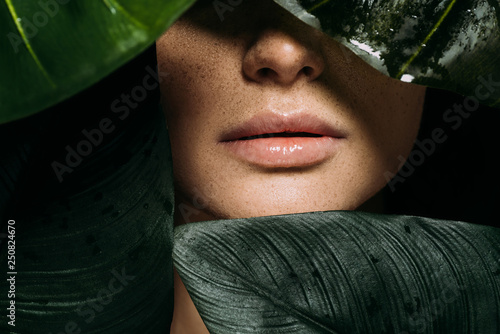 cropped view of girl with freckles posing with green tropical leaves