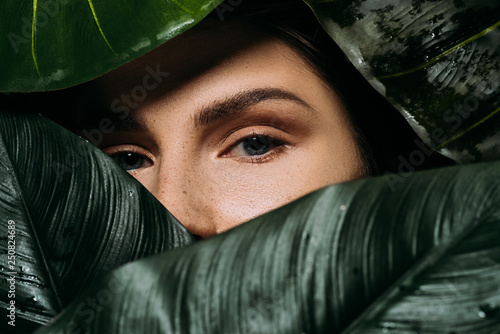 partial view of attractive girl with freckles posing with green leaves photo