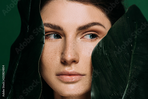 young woman with freckles on face posing with leaves isolated on green photo