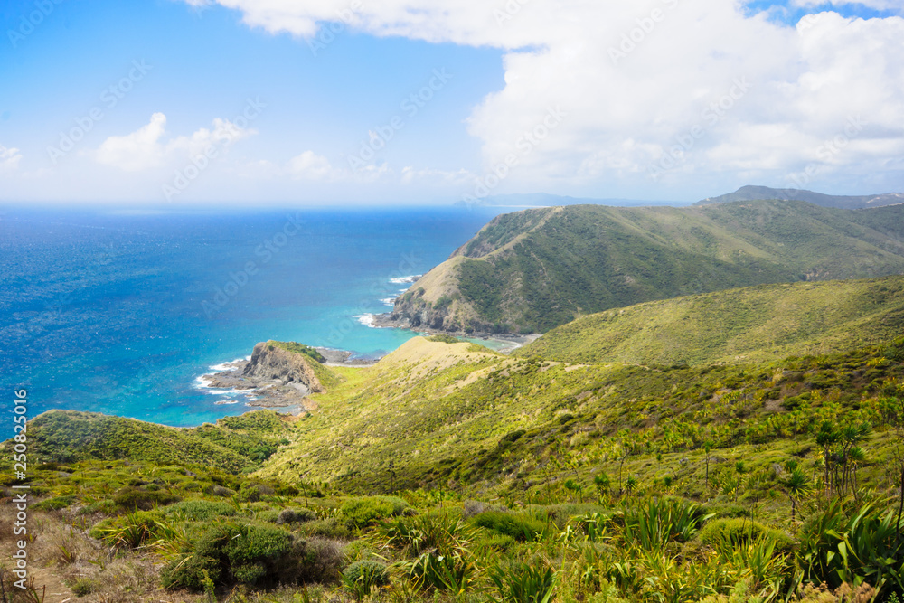 Cape Reinga