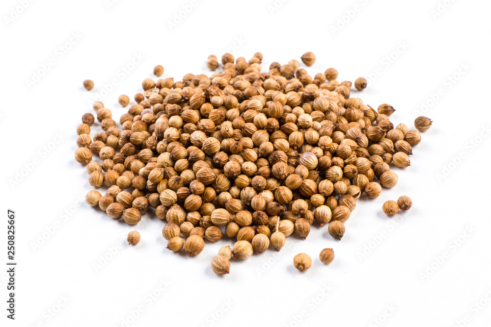 heap of coriander seeds isolated on white background heap of coriander seeds isolated on white background