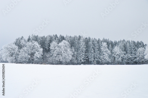 Winter Wonderland in Aying, Bavaria, Germany © Christina