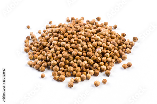 heap of coriander seeds isolated on white background