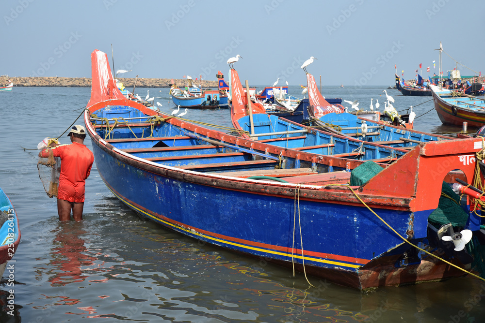 Barques de pêcheurs colorées au Kerala, Inde du Sud