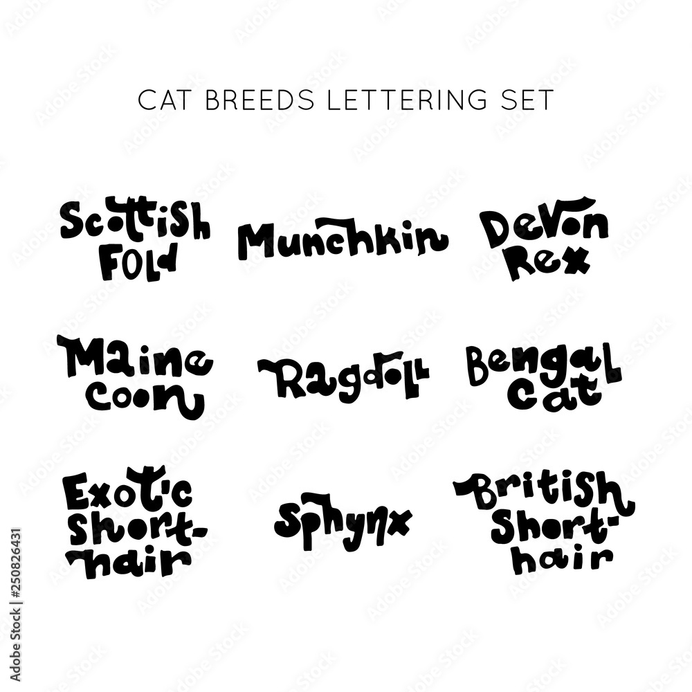 Set of Orange Cats. Vector. Set of Orange Cats. Vector.
