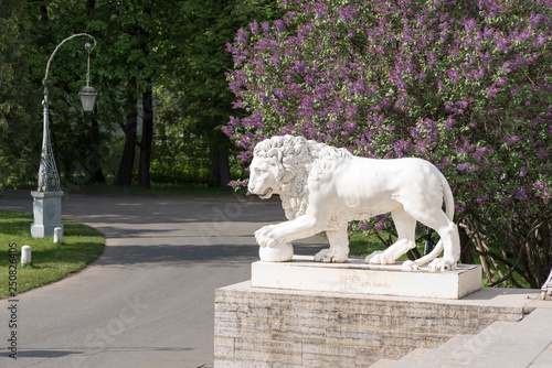 Sculpture of a lion holding a ball paw on the background of lilac bushes . Elagin island. Saint-Petersburg