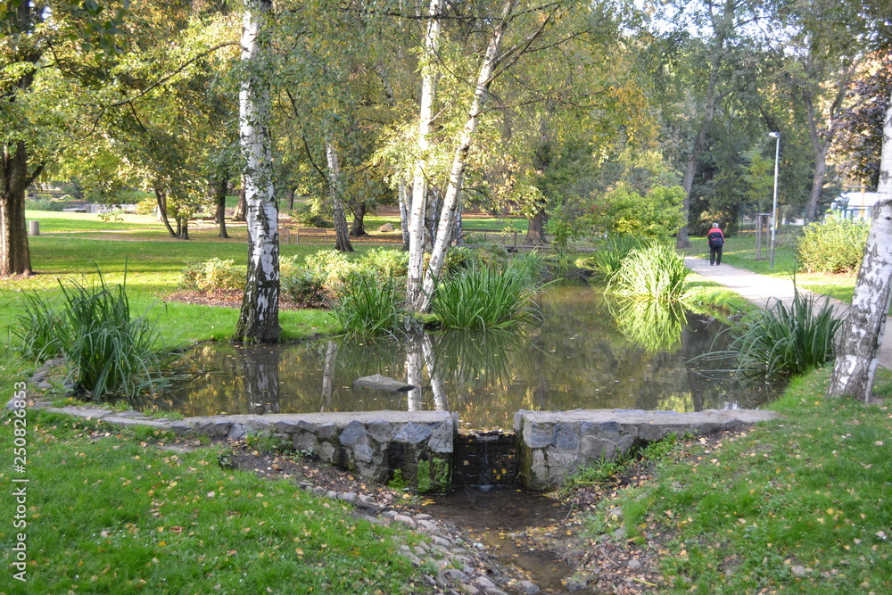Fototapeta premium Pond in the park