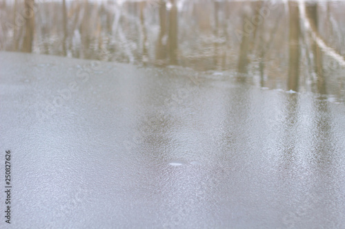 frozen river in the forest photo