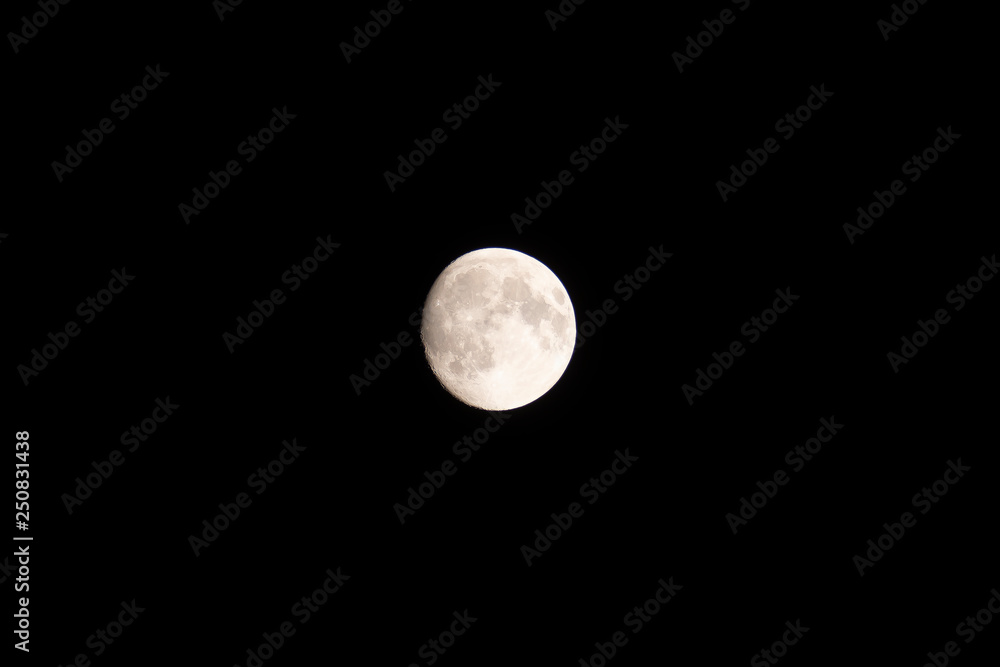 Obraz premium The full moon
